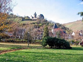 Bacharach-04