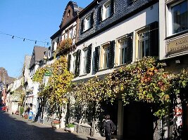 Bacharach-15