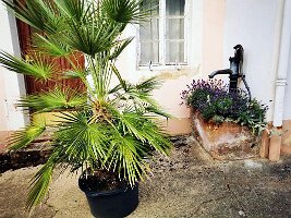 02 Igel Ortschaft-02