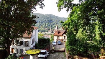 Schloss Heidelberg-03