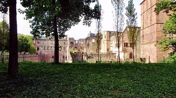 Schloss Heidelberg-04