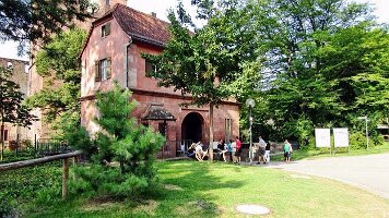 Schloss Heidelberg-05