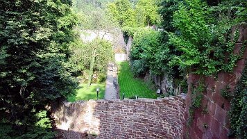 Schloss Heidelberg-06