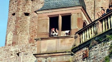 Schloss Heidelberg-36