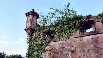 Schloss Heidelberg-39